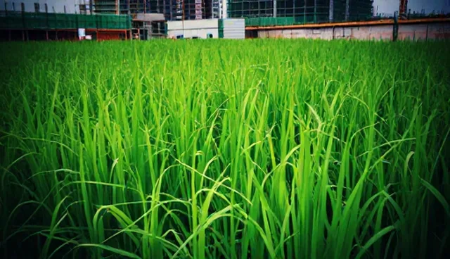 技术咨询业务中运维选型与使用建议